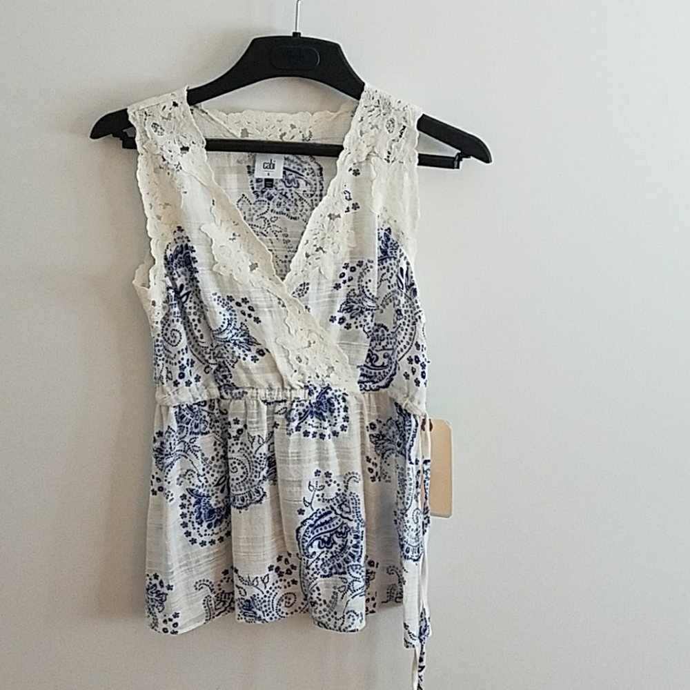 CABI top